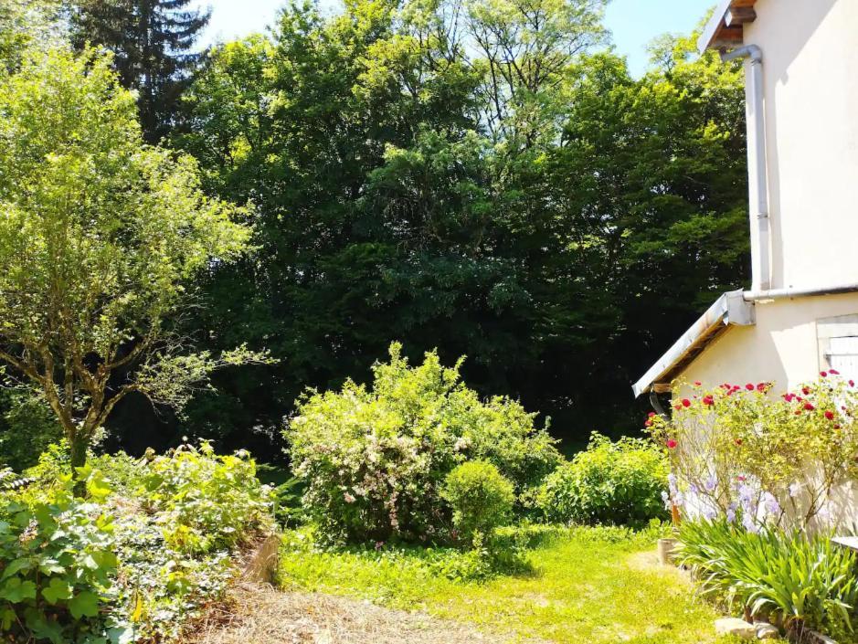 Les Glycines, Un Air De Campagne A La Ville Besançon Eksteriør billede